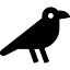 trevorburnham.com