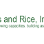 beansandrice.org