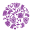 bionij.ir