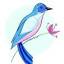 bluebirdeducation.com