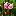 blumeninschwaben.de