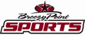 breezypointsports.com