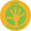 childconnection.org.nz