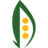 dalgau.ru