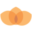 evyavancapital.com