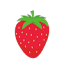 fruitsalad.ca