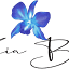 kaiableu.com