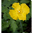 naturepixels.com