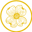 northstateassociates.com