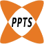 pptssolutions.com