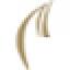 tradewindsbrokers.com