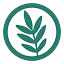 yeonducorp.com