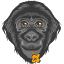 bonobos.org