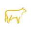 colostrum.com