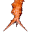 firehousestudios.ca
