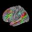 gallantlab.org