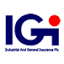iginigeria.com