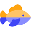 topfish.md