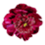 artistryofface.com