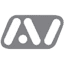 avielectronic.com