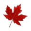 canadaflowers.ca