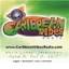 caribbeanvibesradio.com