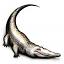 crocodile-sports.com