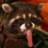 mr-raccoon.net