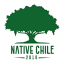 nativechile.cl