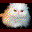 nymews.com