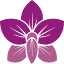 olesyawilson.com