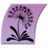 paperwishes.com