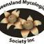 qldfungi.org.au