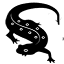 salamanderfungus.org