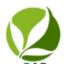 sapevaluation.org