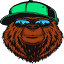smmbear.com