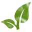 sourceraw.com