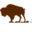 bisontelt.no