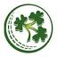 cricketireland.ie
