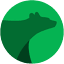greenbearit.com