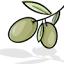 kalamata-olive.gr