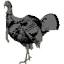 midwestturkeycall.com