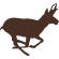 migrationinitiative.org