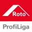 roto-profiliga.de
