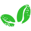 savayacoffee.com