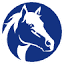 worldhorsewelfare.org