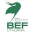 bef.lt