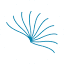 caval.edu.au