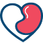 igan.org