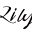 lilymori.com